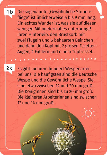 Expedition Natur Mein Becherlupen-Forscherquiz Vanellas Spielewelt