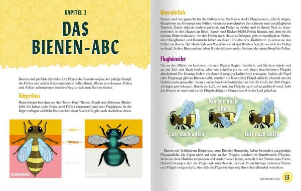 Mach dieses Buch zum Bienenhaus und 19 weitere Experimente und Aktivitäten, um die ERSTAUNLICHE WELT DER BIENEN zu erforschen! Vanellas Spielewelt